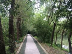 -溱湖国家湿地公园