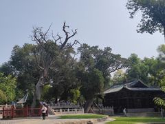 -晋祠公园