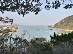 -羚羊峡古栈道森林公园