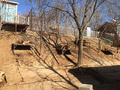 -北京鹿世界主题园