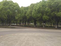 -安飞驰驾校·学车连锁(金高店)