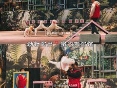 -呀路古热带植物园