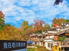 -塔川景区
