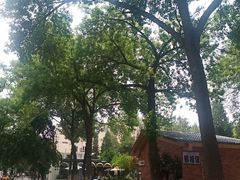 -双榆树公园