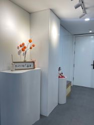 -DELAVAY黛乐薇抗衰中心