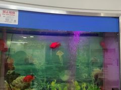 -雅悦齿科(顾村公园店)