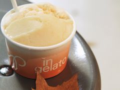 阳山水蜜桃-Dip in Gelato(富民路店)