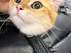 -中农大我爱我爱动物医院·核磁CT·猫病·24小时夜诊中心(石佛营店)