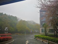 -南京国际会议大酒店