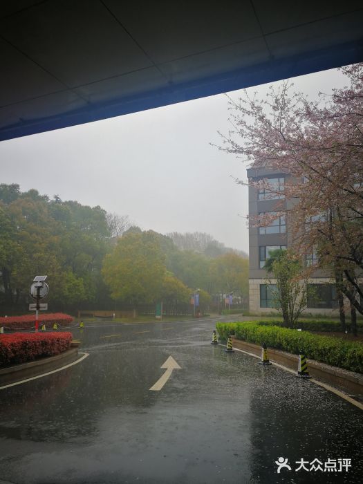 南京国际会议大酒店图片