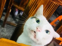 -学府小吃一条街(北大门商业街店)
