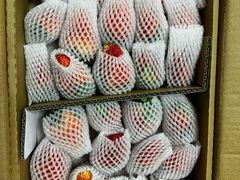 -深圳麦芽口腔医院(罗湖总院)