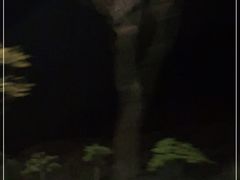 -分塔山省级森林公园
