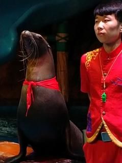 -烟台海昌鲸鲨海洋公园