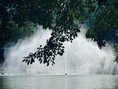 -西双版纳原始森林公园