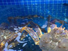 -前王院•巧克力海鲜市集餐厅(万平口店)