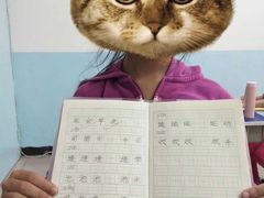 -赵汝飞练字硬笔书法(静安寺校区)