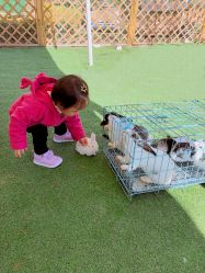 -萌宠亲子动物乐园(槐房万达店)