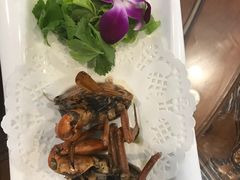 -友强·23年特色海鲜大排档(厦门店)