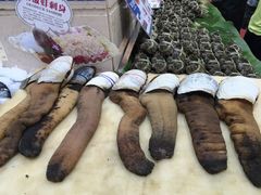 -东江海鲜酒家(艺都分店)