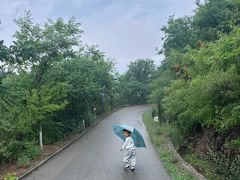 -欢乐松鼠谷