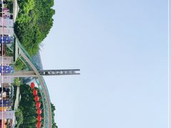 -南山植物园