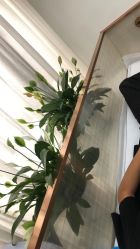 点击看大图 -悟空祛痘·诺奖技术专业店