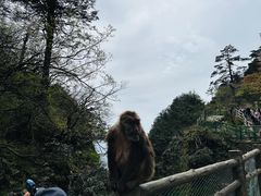 -峨眉山风景名胜区