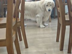 -贵州笋子鸡(米市街店)