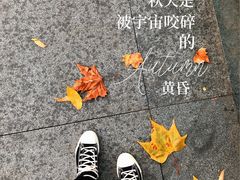 景点-蠡湖中央公园