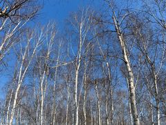 -长春市南湖公园