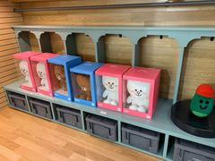 -line friends(明洞旗舰店)