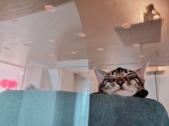 -Me Coffee下午茶艺术空间