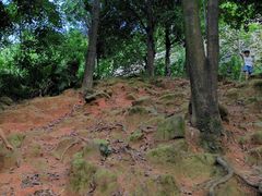 -火炉山森林公园