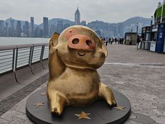 -星光大道