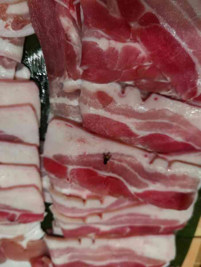 打分 89 /人 晚市去吃的,发现有苍蝇,希望能认真对待顾客食品安全问题