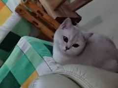 -联合动物医院(光谷诊疗中心)