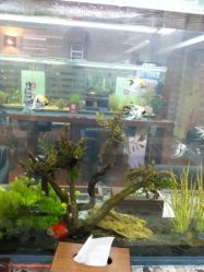 android_upload_pic-小左美发