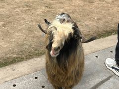 -乐和乐都主题乐园