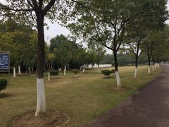 -艾溪湖湿地公园