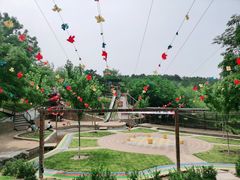 -欢乐松鼠谷