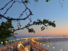 -星海湾跨海大桥