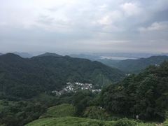 -龙井村