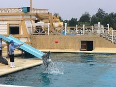 -秦皇岛乐岛海洋王国