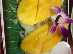 -Jungle Kitchen