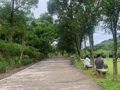 -田心森林公园