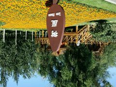 -武清南湖绿博园
