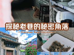 -黄埔古港