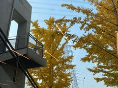 -Bracket Coffee(银河SOHO店)