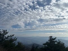 -王顺山国家森林公园